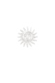 couleur argent Image2