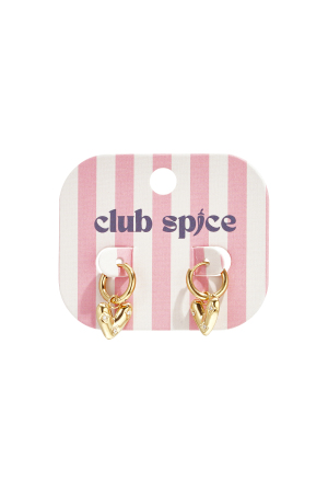 Boucles D'Oreilles Avec Pendentif En Forme De Cœur Et Zircon h5 Image4