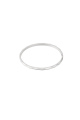 couleur argent Image2