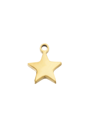 Charm Étoile h5