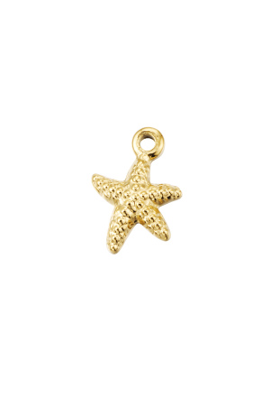 Charm Étoile Avec Imprimé h5