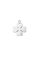 couleur argent Image2
