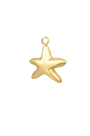 Charm Étoile h5