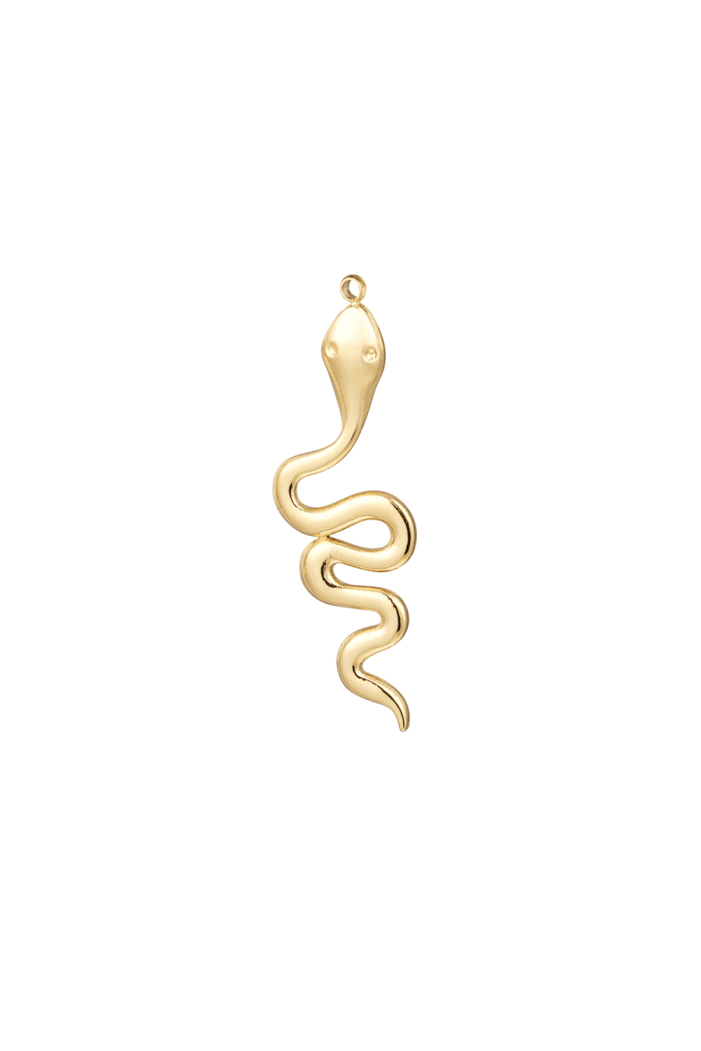 Boucles D'oreilles En Acier Inoxydable En Forme De Serpent