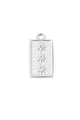 couleur argent Image2