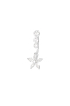 couleur argent Image2
