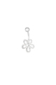 couleur argent 