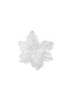 couleur argent Image2
