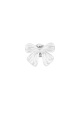 couleur argent Image2