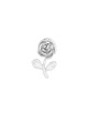 couleur argent Image2