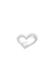 couleur argent Image2
