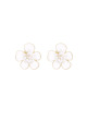 Blanc Image2
