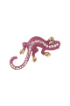 fuchsia Image2