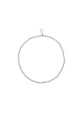 couleur argent Image2