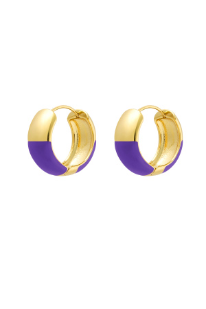 Boucles D'oreilles Mi-Colorées - Acier Inoxydable Violet h5 