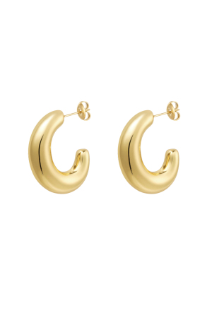 Boucles D'oreilles Demi-Lune Chic h5 
