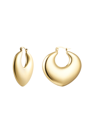 Boucles D'oreilles Chic - Doré Acier Inoxydable h5 