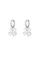couleur argent Image2