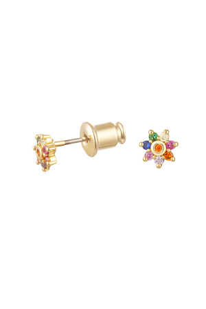 Clous D'oreilles Chic - Doré/Multi Multicouleur Cuivré h5 