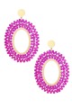 fuchsia Image8