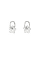 couleur argent Image2