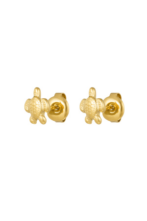 Boucles D'oreilles Tortue h5 