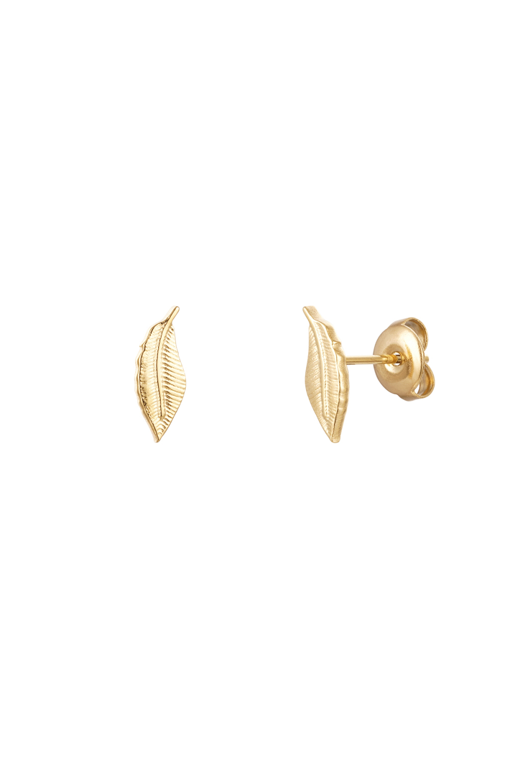 Clous D'oreilles Plume - Doré Acier Inoxydable