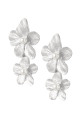 couleur argent Image2
