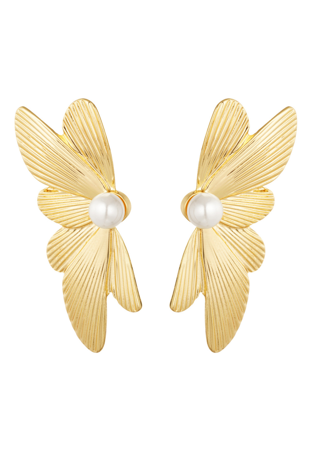 Clous D'oreilles Aile - Doré