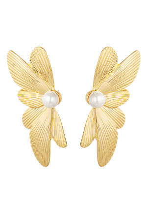 Clous D'oreilles Aile - Doré h5