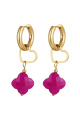 fuchsia Image2