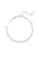 couleur argent Image2