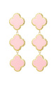 Rose bébé Image6