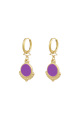 Violet Image2