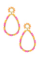 orange Image2