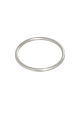 couleur argent Image2