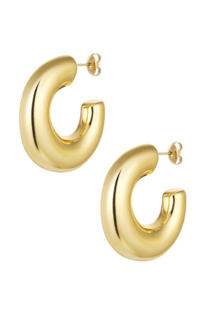 Boucles D'oreilles Chic - Doré h5 