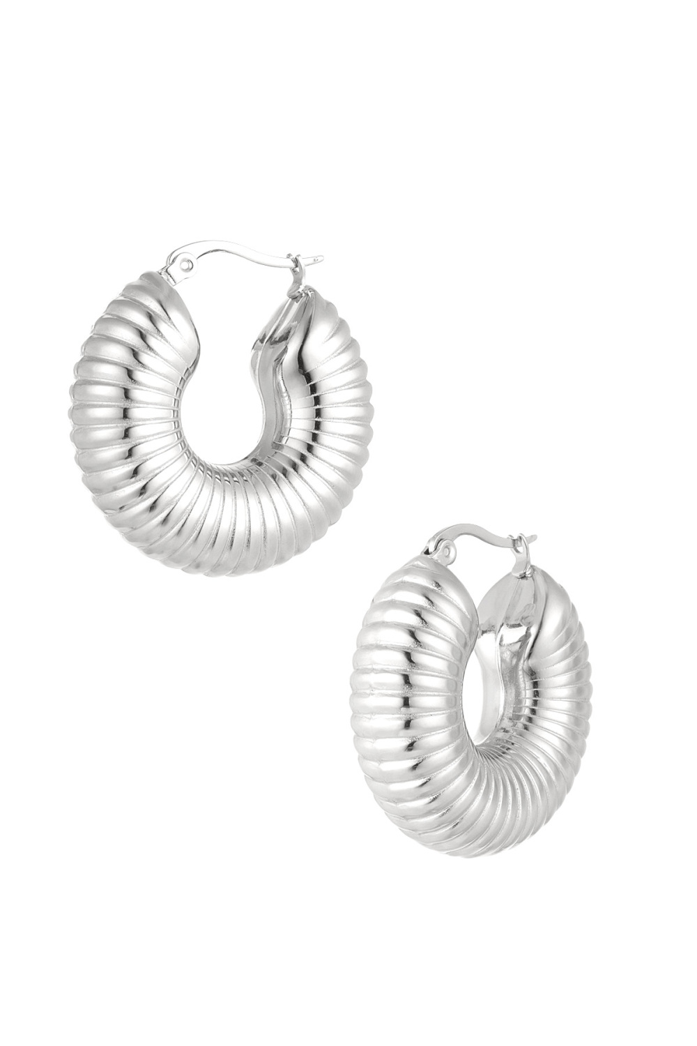 Boucles D'oreilles Rondes Esthétiques 