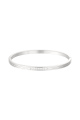 couleur argent 