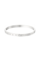 couleur argent Image2