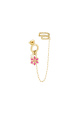 fuchsia Image3
