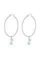 couleur argent Image2