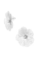  Image2