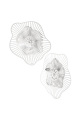 couleur argent Image2