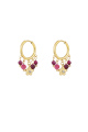 fuchsia Image3