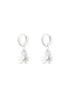 couleur argent Image2