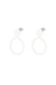 couleur argent Image2