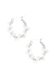 couleur argent Image2