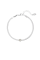 couleur argent Image2