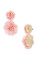 Rose Image3